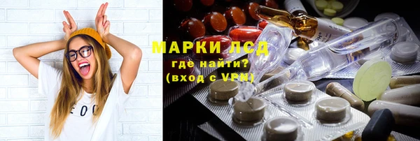 сатива Новодвинск
