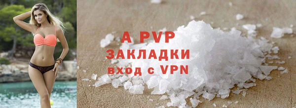 сатива Новодвинск