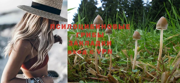 марихуана Новозыбков