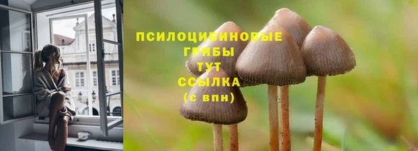 сатива Новодвинск