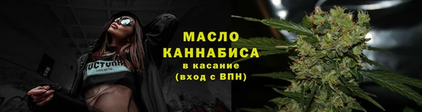 сатива Новодвинск