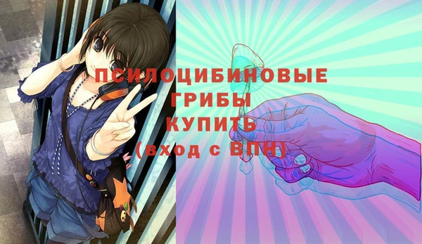 марихуана Новозыбков