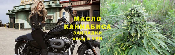 сатива Новодвинск