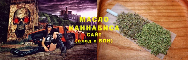 mix Ельня