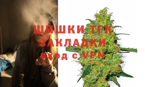 сатива Новодвинск