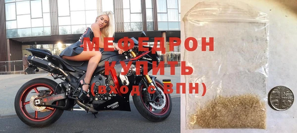сатива Новодвинск