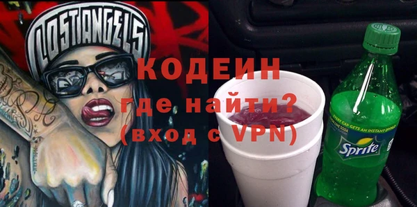 сатива Новодвинск