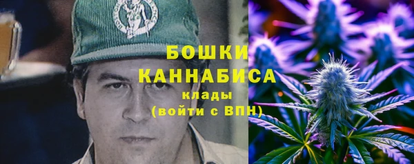 сатива Новодвинск