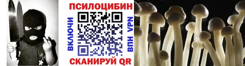 Галлюциногенные грибы Psilocybe  Котельнич 